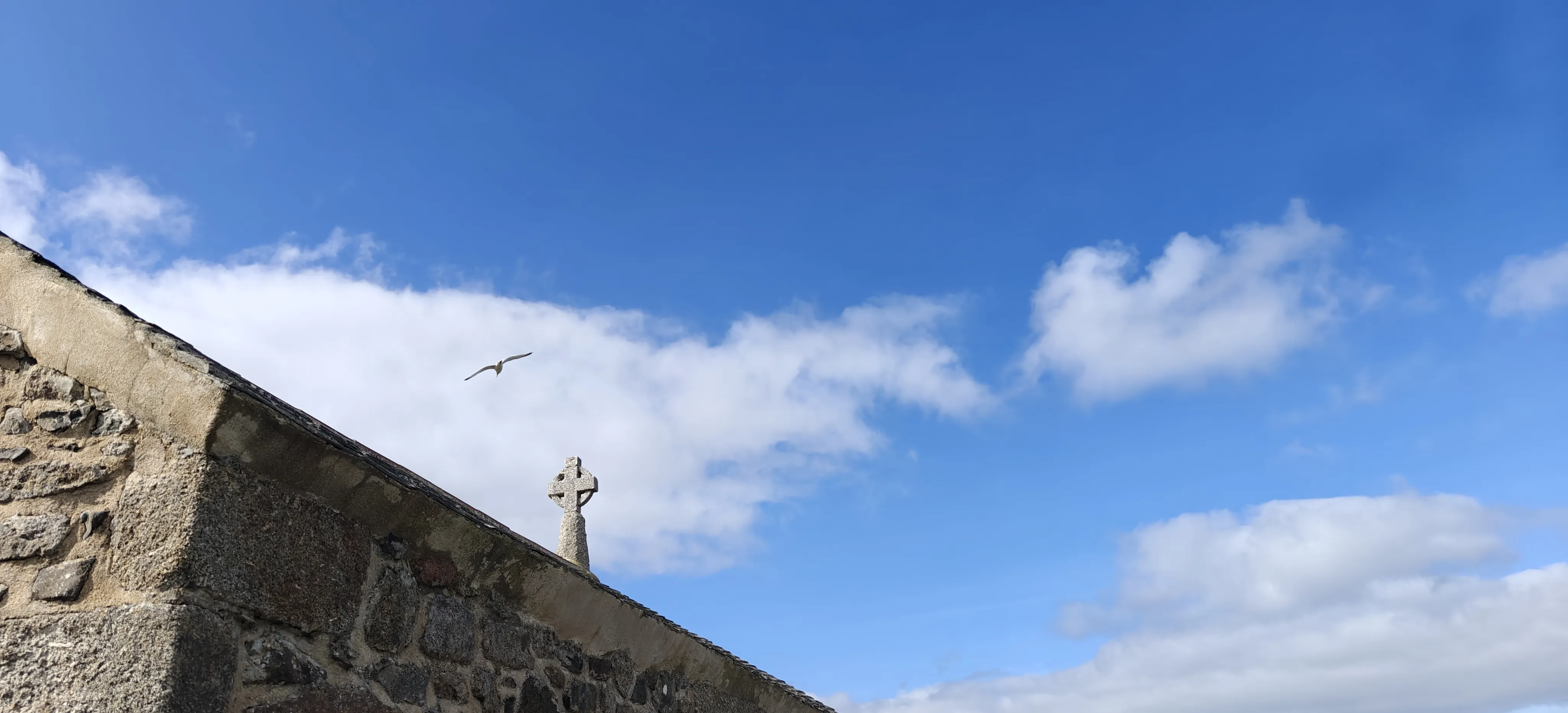 Seagull over a chapel