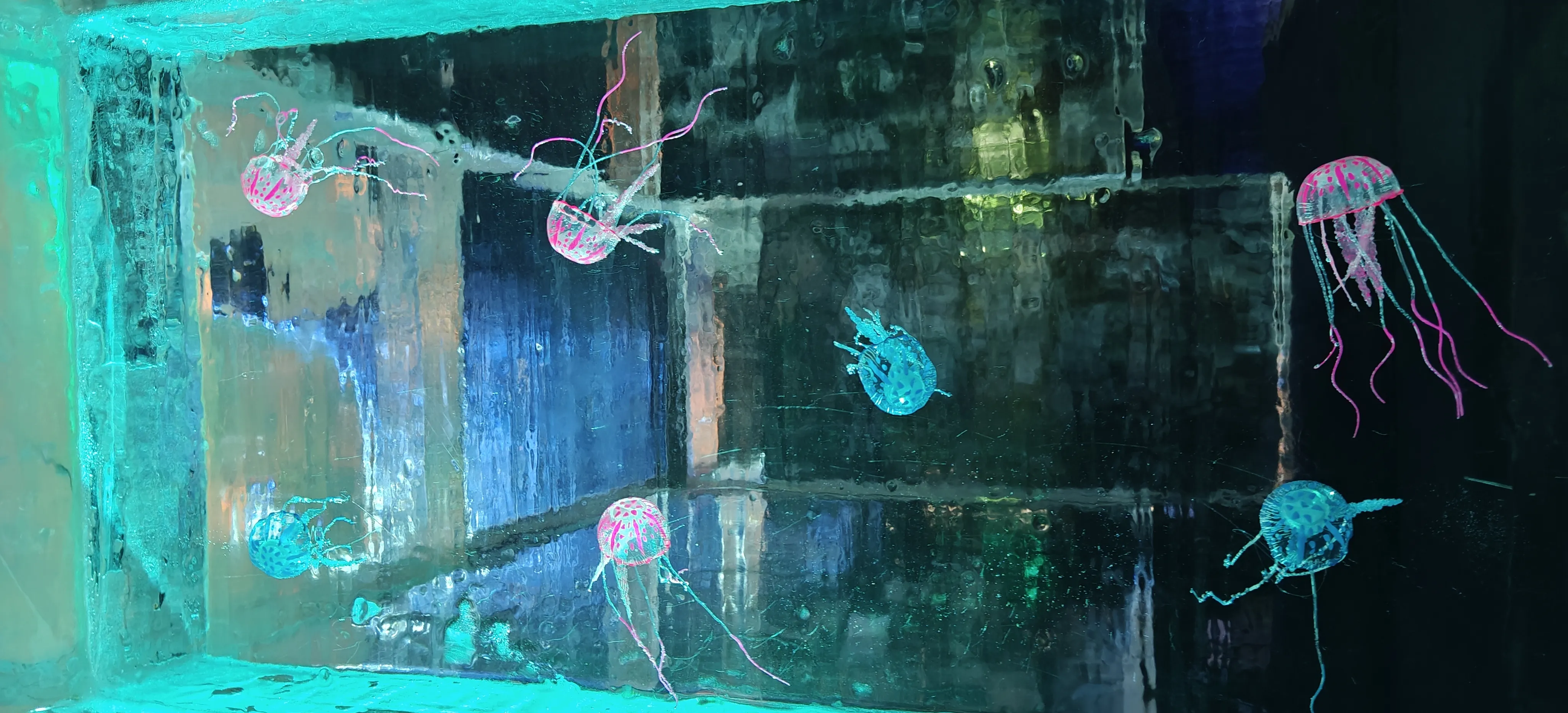 Jellyfish suspended in the Ice.